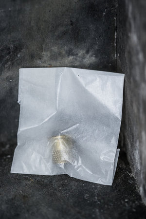 TAILOR'S THIMBLE • Merchant & Mills