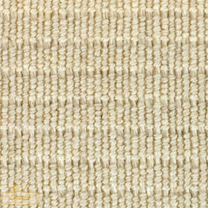 ORGANIC COTTON ELASTIC • Ecru 44mm • Segmented Light